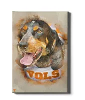  Vols | Tennessee Smokey Watercolor Canvas | Alumni Hall