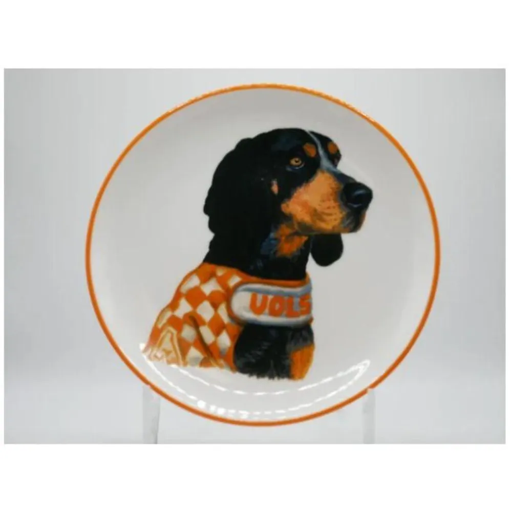  Vols | Tennessee 6  Mascot Trinket Tray | Alumni Hall