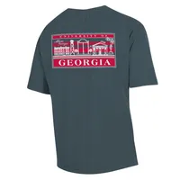 Dawgs | Georgia Campus Buildings Comfort Wash Tee Alumni Hall