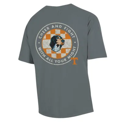 Vols | Tennessee Cheer And Fight Comfort Wash Tee Alumni Hall