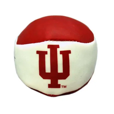  Hoosiers | Indiana Hackysack | Alumni Hall