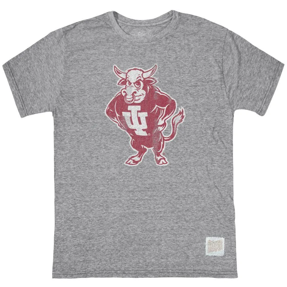 Hoosiers | Indiana Vault Bison Streaky Tee Alumni Hall