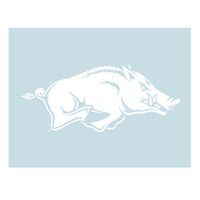 Arkansas Razorbacks Logo Decal (White/Teal