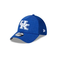 Kentucky New Era 3930 Basic Flex Cap