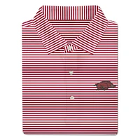 Arkansas Turtleson Edward Stripe Performance Polo