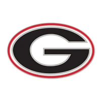Georgia Logo Collector Enamel Pin
