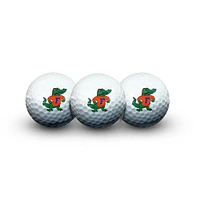 Florida Wincraft 3 Piece Golf Ball Set