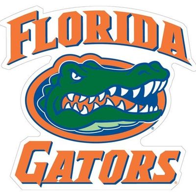  Florida Magnet Team Script/Gator Head Logo (12 )