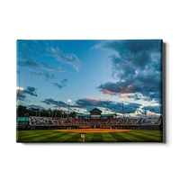 Tennessee Lady Vols 24