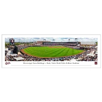 Mississippi State Baseball Dudy Noble Field 13.5