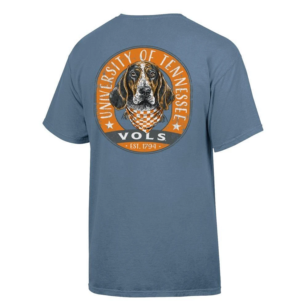 Tennessee Comfort Wash UT Smokey Head Tee