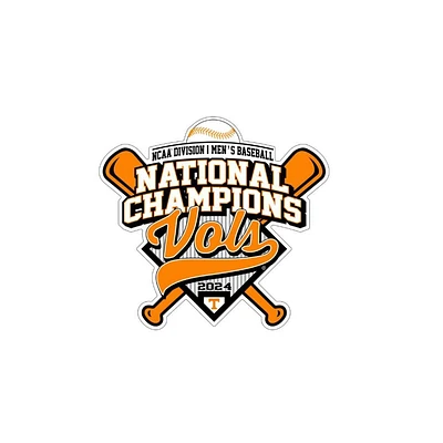 Tennessee 2024 NCAA College World Series Nat