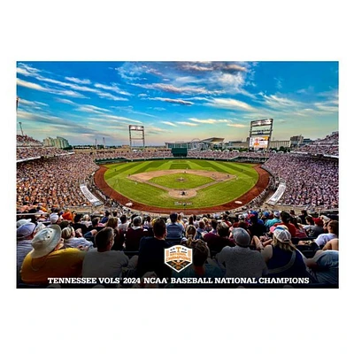 Tennessee 2024 NCAA Baseball Champions College Wall Art Canvas- Charles Schwab Field