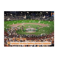 Tennessee 2024 NCAA Baseball Champions College Wall Art Canvas- Victory Confetti