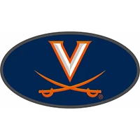 Virginia Domed Mirror Hitch Cover