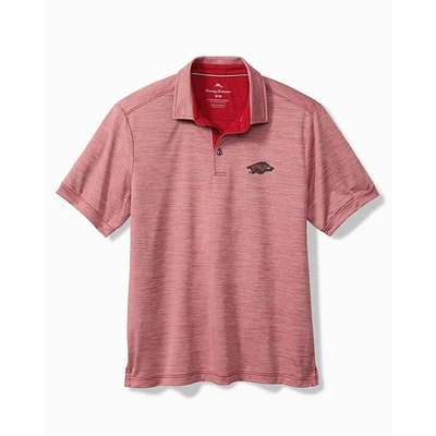 Arkansas Tommy Bahama Sport San Raphael Polo