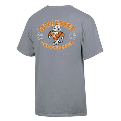 Tennessee Vault Mascot Love Comfort Wash Tee