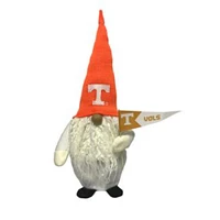 Tennessee Vols 16