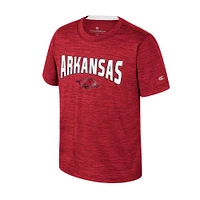 Arkansas Colosseum Toddler Rylos Poly Tee