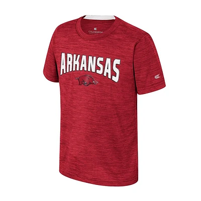 Arkansas Colosseum YOUTH Rylos Poly Tee