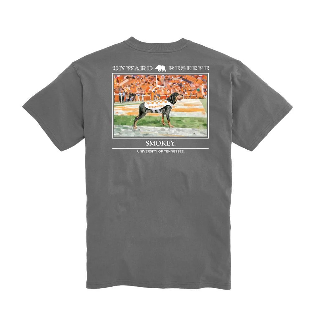 Tennessee Onward Reserve Smokey Tee