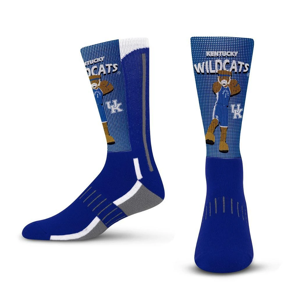 Kentucky Mascot Fever Socks