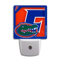 Florida 3D Logo Series Night Light