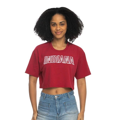 Indiana Zoozatz Boxy Crop Puff Ink Tee