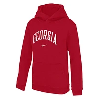 Georgia Nike YOUTH Arch Club Fleece Hoodie