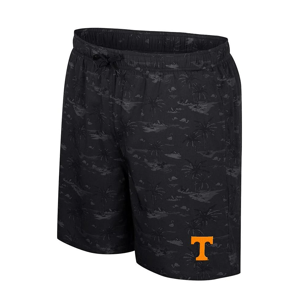 Tennessee Colosseum Men's Atmosphere Swim Shorts