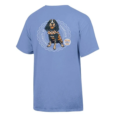 Tennessee Lady Vols Comfort Wash Smokey Seal Tee
