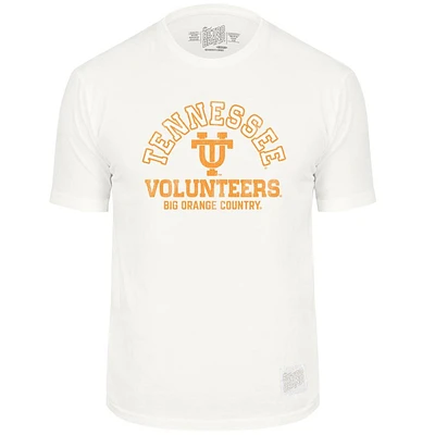 Tennessee Retro Brand Arch Vintage Tee