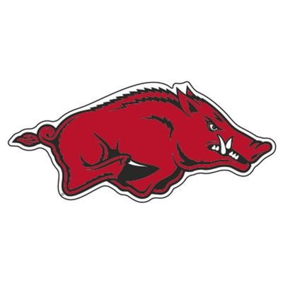 Arkansas Razorbacks Logo Magnet