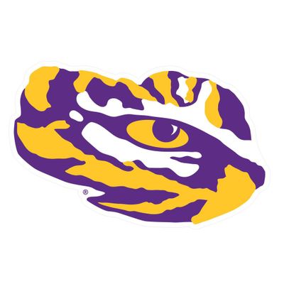 Lsu Magnet Tiger Eye