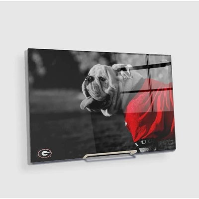 Georgia 12 X 8 Inch Uga Poised Mini Acrylic Wall Art