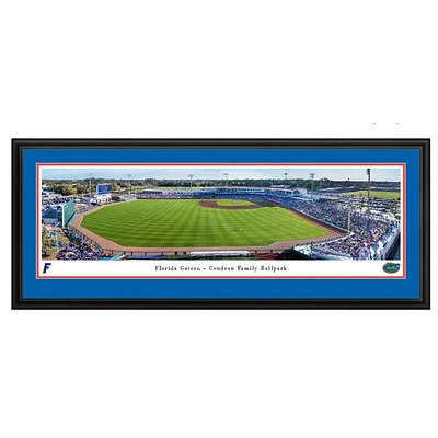 Florida 2025 Baseball Condron Family Ballpark Deluxe Frame 18