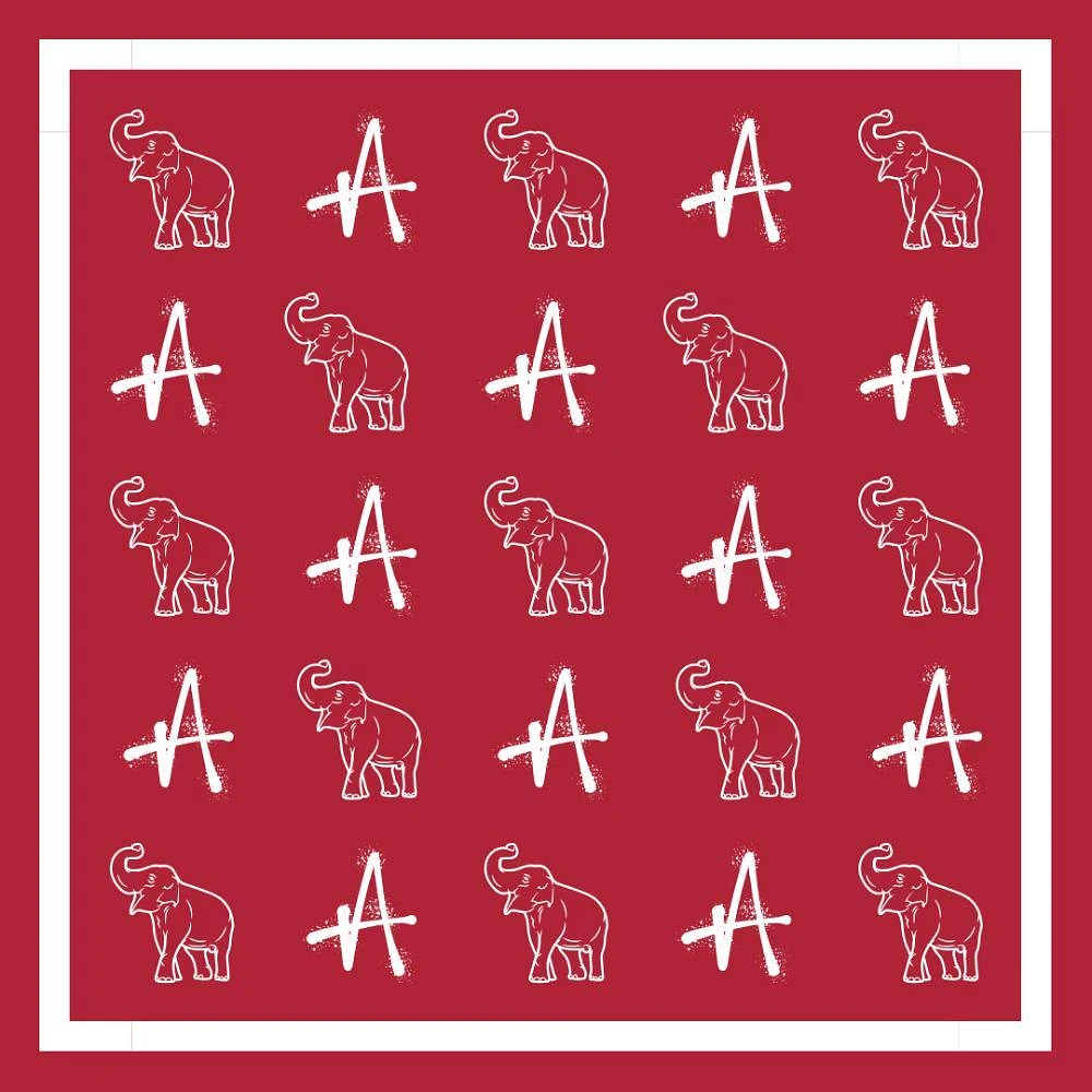 Alma Mater Collection Spirit Print Scarf