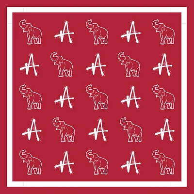 Alma Mater Collection Spirit Print Scarf