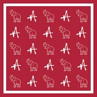 Alma Mater Collection Spirit Print Scarf