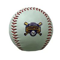 LSU 2025 NCAA College World Series National Champs Baseball
