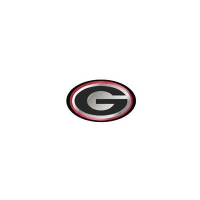  Georgia Bulldogs Mirrored Domed Hitch Cover