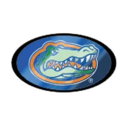  Florida Hitch Cover Blue Mirrored