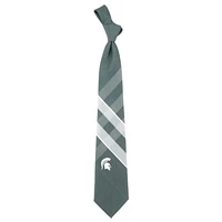 Michigan State Eagles Wings Grid Tie