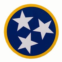  Tn - Volunteer Traditions Navy And Gold Tristar Decal - Alumni Hall