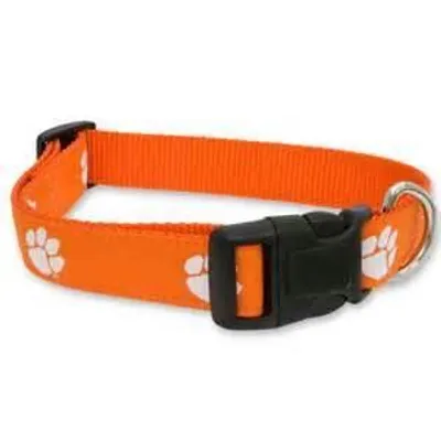 Tigers | Clemson Dog Collar Alumni Hall