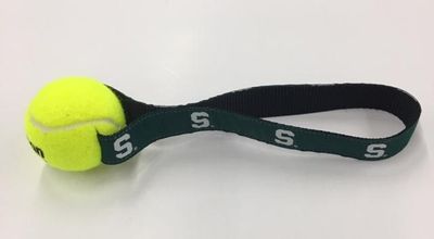  Spartans | Michigan State Tennis Ball Pet Toy | Alumni Hall
