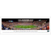  Florida Gators | Steve Spurrier- Florida Field At Ben Hill Griffin Stadium Print | Alumni Hall