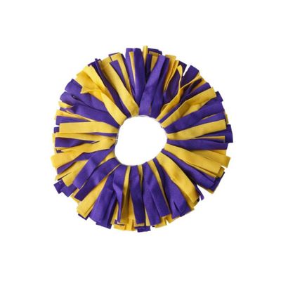  Lsu | Purple And Gold Classic Pomchie | Alumni Hall