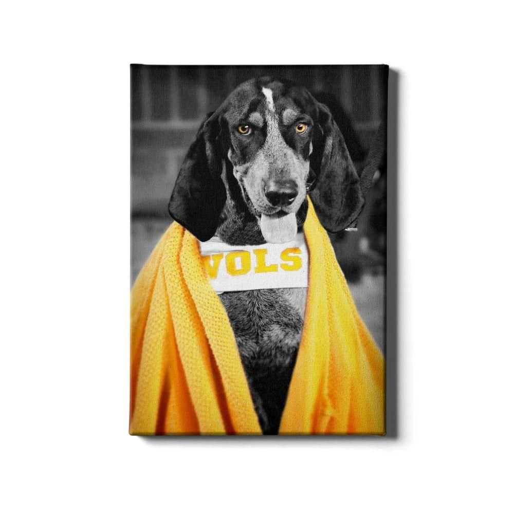  Vols | Tennessee 16x24 Jedi Smokey Canvas | Alumni Hall