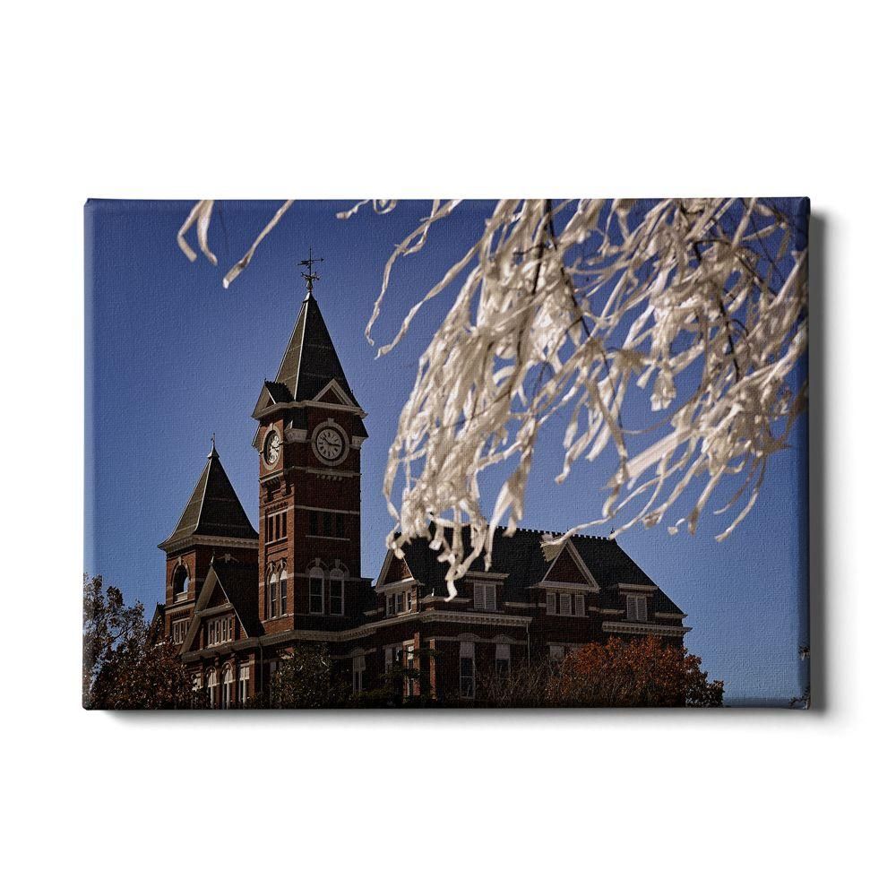  Aub | Auburn 24x16 Samford Tower Canvas | Alumni Hall